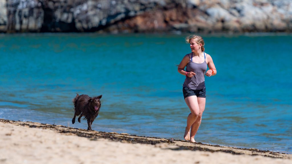 Faire du jogging avec son chien